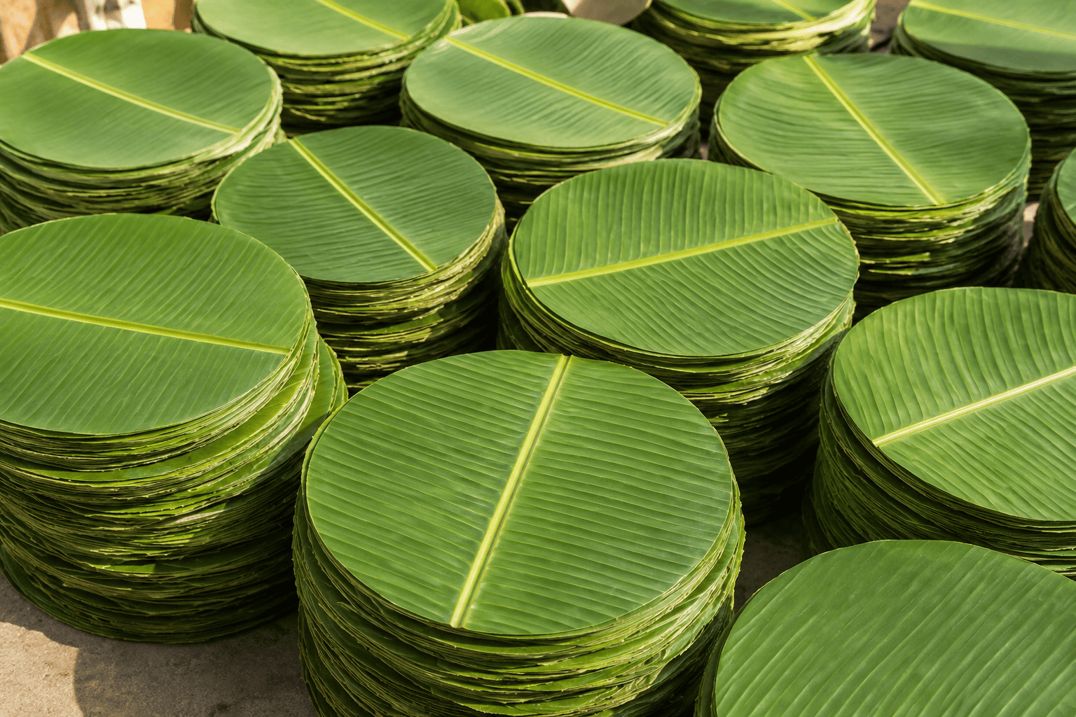 Round Cut Banana Leafs