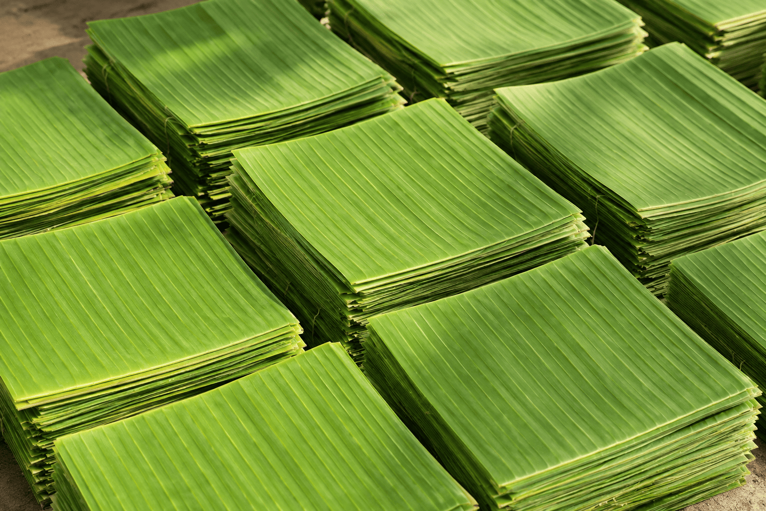 PC cut banana leaves